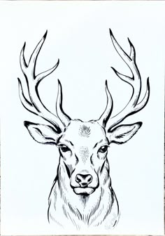 a black and white drawing of a deer with antlers on it's head