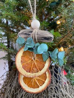 an ornament hanging from a christmas tree decorated with orange slices