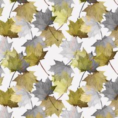 The White Assorted Maple Leaf Fabric is part of the Assorted Maple Leaf Fabric Collection printed by Sew Creative Fabrics . Digitally Printed on 100% cotton. Sew Creative Fabrics are only available through Sewing Parts Online , not sold in stores or anywhere else online. * Proudly Manufactured in Dickson, Tennessee USA! *  * Even though we do our best to make certain that the colors in our fabric photographs are accurate, please be aware that your display screen may show small variances in color Leaf Fabric, Digital Print Fabric, Display Screen, Pigment Ink, Textile Prints, White Fabrics, Fabric Collection, Maple Leaf, Printing Process