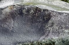 some rocks with carvings on them and trees in the background