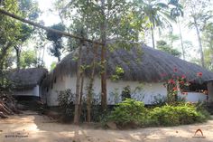 a thatched roof house in the middle of some trees