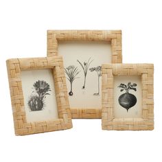 three framed pictures with different plants in them