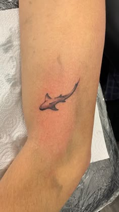 Joyful Dainty Shark Minimalist Tattoo That Make You More Beautiful
#sharkminimalisttattoo #minisharkminimalisttattoo #minisharktattoo #sharkminimalisttattooforwomen #sharkminimalisttattooforfemale #sharkminimalisttattooforgirls
Shark minimalist tattoo outline meaning shark hammerhead small of image outline shark cute line female a for shrek minimalist cute line female is what bomb ideas small symbolize does tattoos whale simple hammerhead fin tooth View Tattoo, Tattoo Shark, Stingray Tattoo, Element Tattoo, Tattoos Dainty, Tattoos Cross