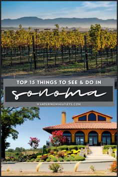 the top 15 things to see and do in sonomar, california's wine country