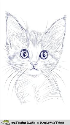 a drawing of a cat's face with blue eyes and long whiskers