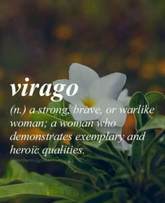 a white flower with the words virgo on it and an image of flowers in the background