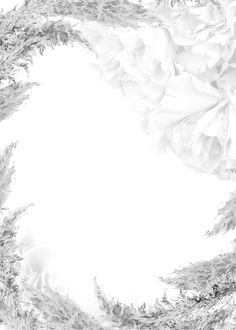 an abstract photo of white flowers on a white background