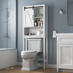 a white toilet sitting next to a bathroom sink