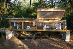 several cats sitting on top of a bench in a fenced off area near trees