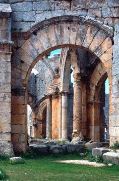 an arch in the middle of a stone building with grass and flowers growing around it