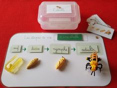 a plastic tray with magnets and some sort of animals on it, including a bee