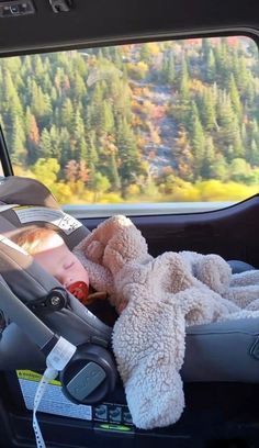 a baby sleeping in a car seat with a teddy bear on it's back