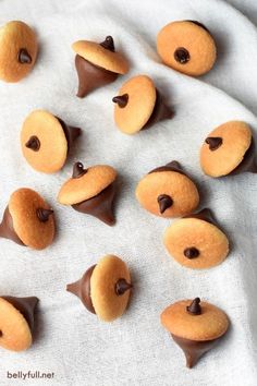 chocolate covered cookies are arranged on a white cloth