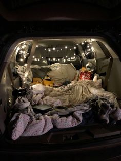 an open car trunk with blankets and lights in the back ground, on which there is a stuffed animal