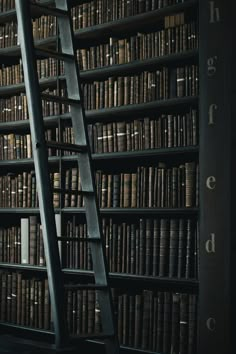 a ladder leaning up against a bookshelf filled with lots of books