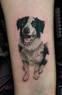 a black and white dog tattoo on the right arm, with an inking effect