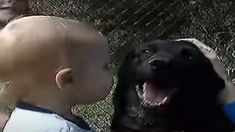 a baby is petting a dog in front of a chain link fence while another child looks on