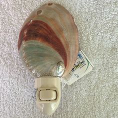 a seashell is sitting on the floor next to a packet of toothpaste