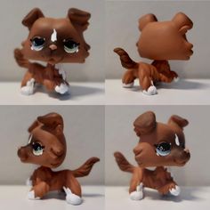 four different pictures of a little dog with big eyes and brown hair, sitting on a white surface