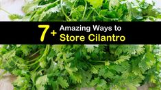 fresh parsley on a cutting board with the title 7 amazing ways to store cilantro