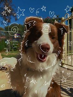 a brown and white dog standing in front of a gate with hearts drawn on it's face