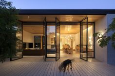 a dog is walking in front of a house with glass walls and sliding doors that open up to the living room