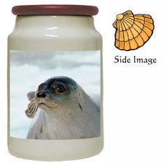 an image of a sea lion in a jar