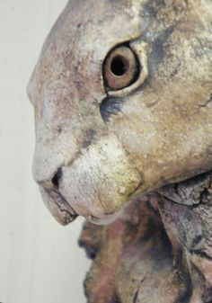 a close up of a statue of a cat with an eye on it's face