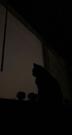 a black cat sitting on top of a window sill next to a light bulb