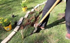 a person digging in the ground with a shovel next to some flowers and plants on the grass