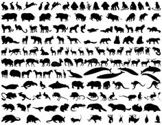 the silhouettes of animals and birds are shown in black on white royalty images, stock photos