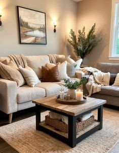 a living room with two couches and a coffee table in front of a window