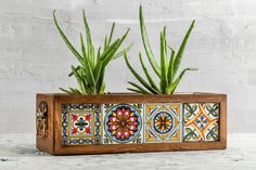 two potted plants sitting on top of a wooden box with colorful designs and leaves