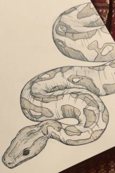 a drawing of a snake on top of a piece of paper