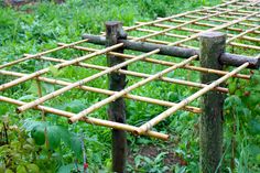 a bamboo fence in the middle of some grass