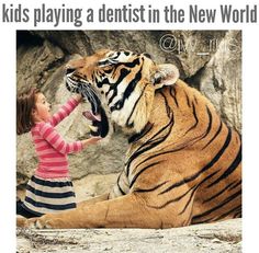 Jw Humor, Big Tiger, Tiger Images, Tiger Wallpaper, Tiger Pictures, Nice Teeth, Paradise Lost, Chandler Riggs, Carl Grimes