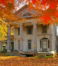 an old house with columns and pillars in the front yard surrounded by autumn leaves on the ground