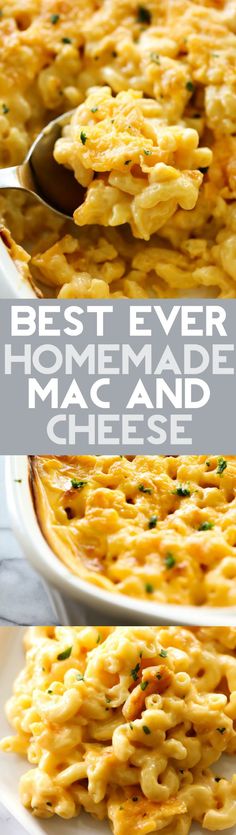 the best ever homemade macaroni and cheese