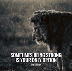 a lion standing in the rain with an inspirational quote about being strong and not afraid