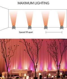 an image of a room that has lights on the wall and trees in the center