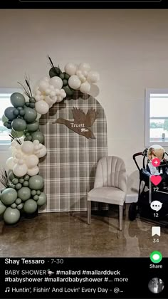 a baby in a stroller next to balloons and a wall with birds on it