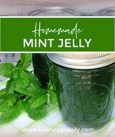 Grow Mint, Cooking Homemade