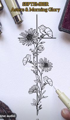 a drawing of a flower with the words, september aster and morning glory on it