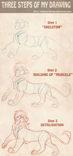 three steps to draw a lion