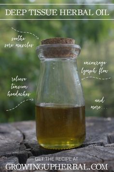 a glass jar filled with liquid sitting on top of a wooden table next to trees