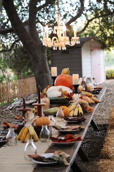 an outdoor table set up with pumpkins and gourds for a fall dinner