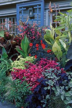 colorful flowers and plants in front of a blue house