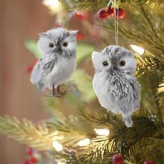 two small owls are hanging from a christmas tree