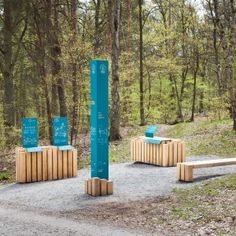 three wooden benches sitting on top of a gravel road in the woods next to trees