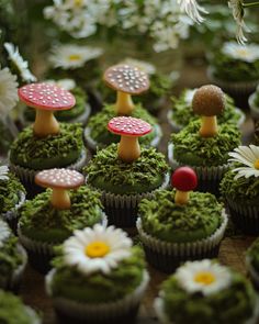 cupcakes decorated with moss and mushrooms are sitting on a table next to daisies